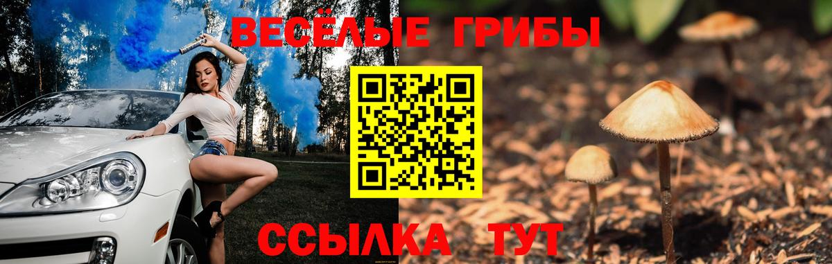 Псилоцибиновые грибы Cubensis  Вход с VPN  Урай 
